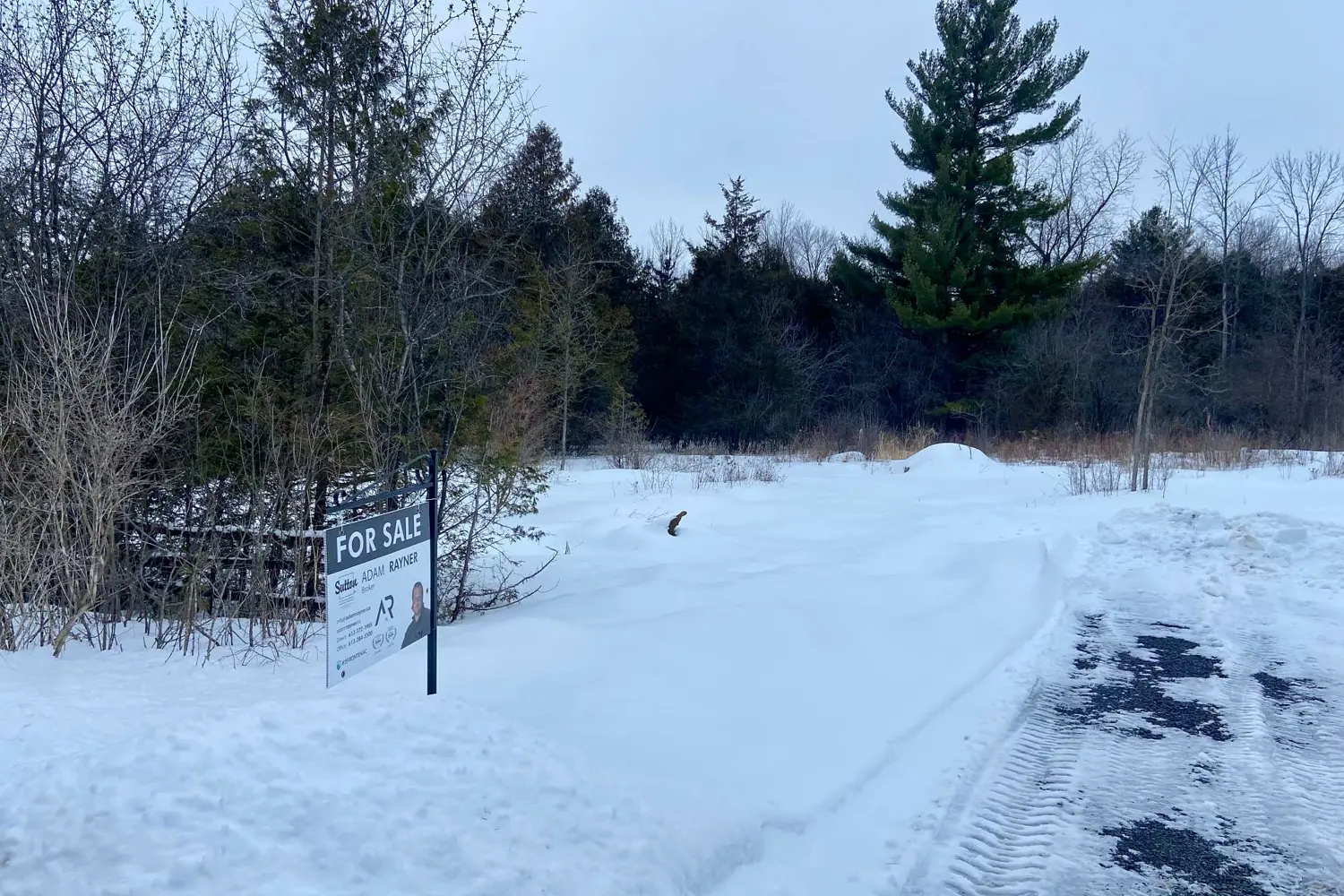 Additional image 8 of 103 Estis Road