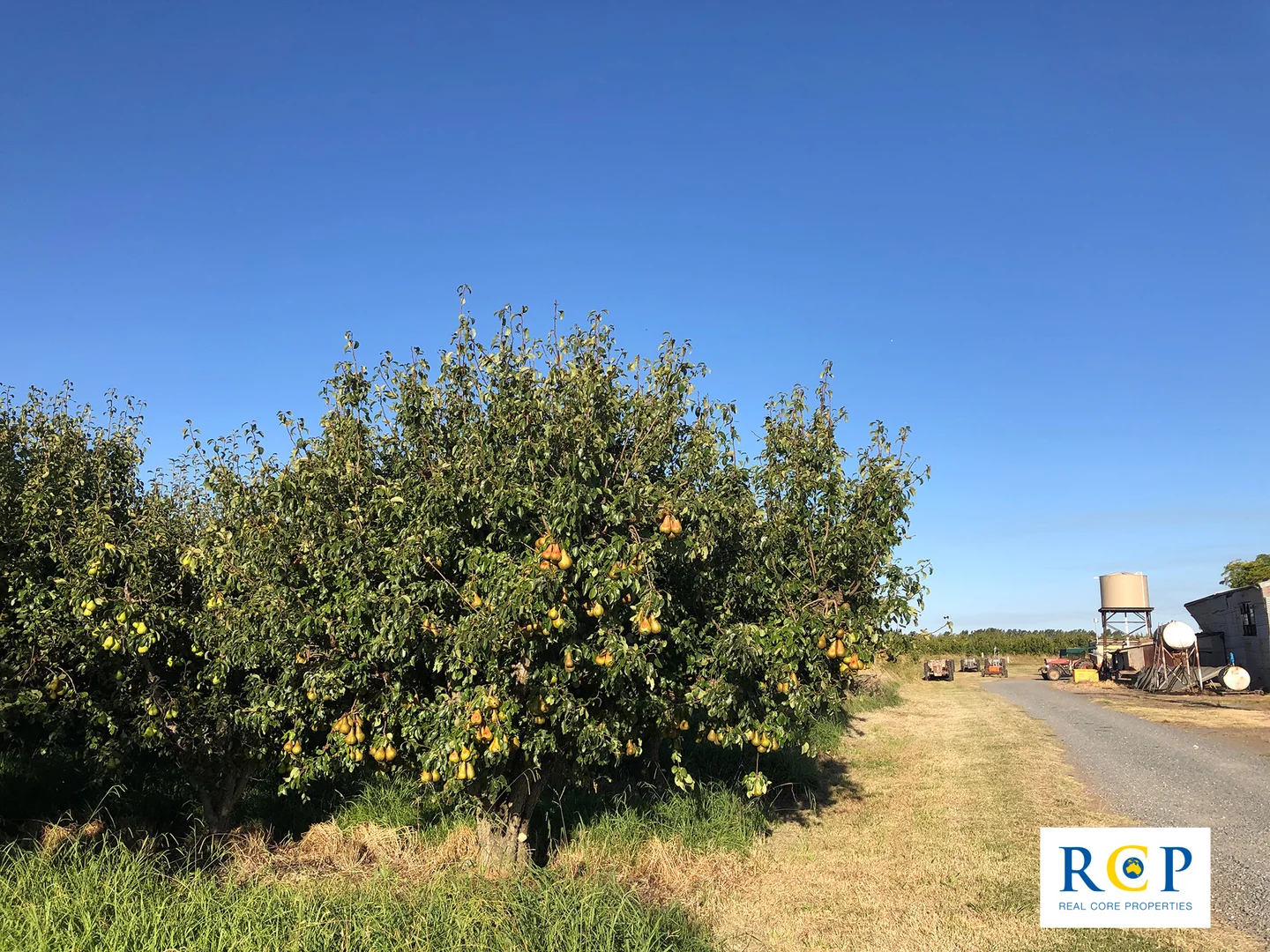 Additional image 10 of 275 Channel Road, Orrvale VIC 3631