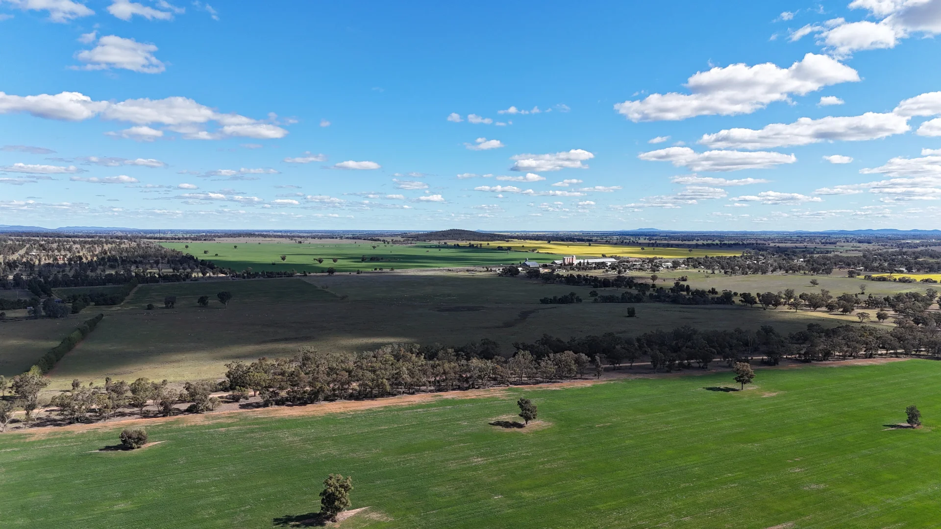 Additional image 52 of 3544 Henry Parkes Way, Bogan Gate NSW 2876