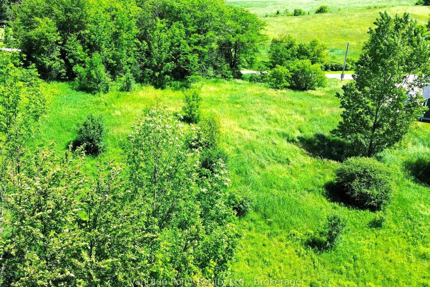 Additional image 9 of N/A Alma Street