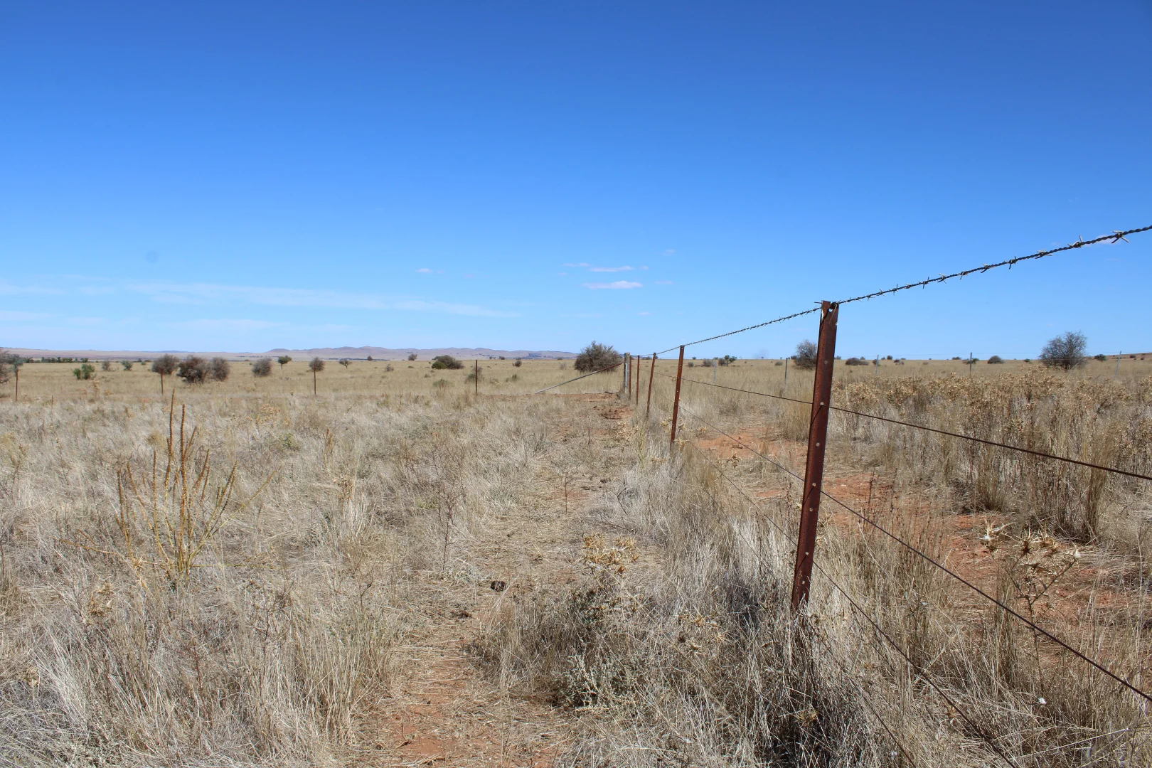 Additional image 3 of 1860 Cleary Road, Terowie SA 5421