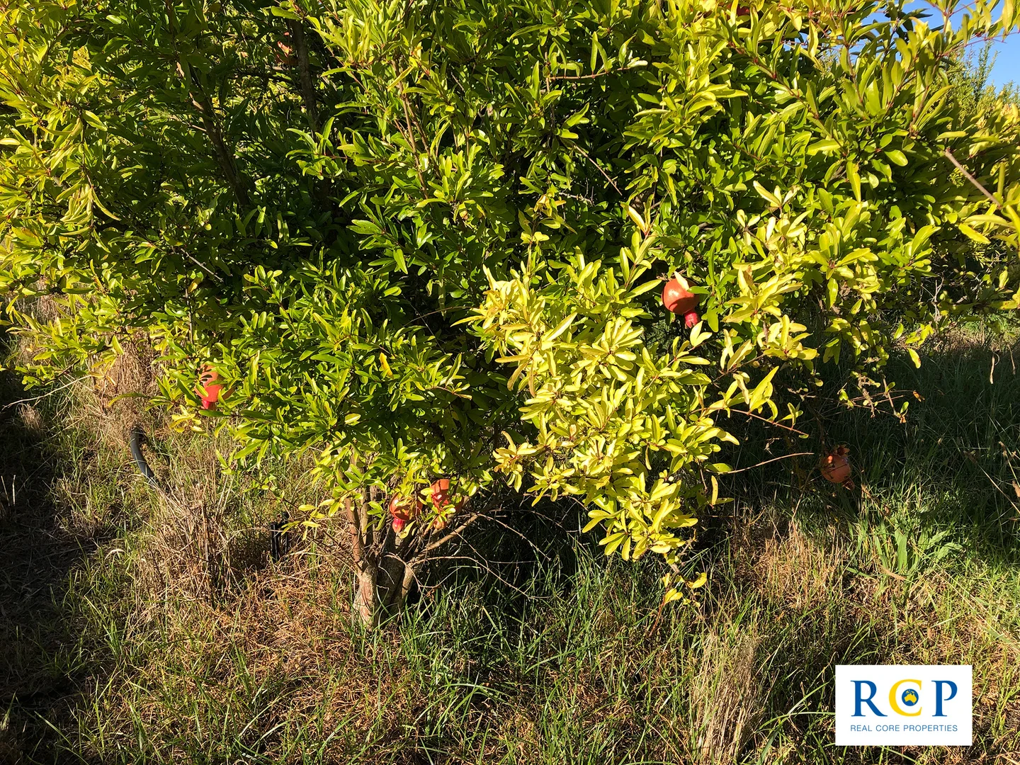 Additional image 8 of 275 Channel Road, Orrvale VIC 3631