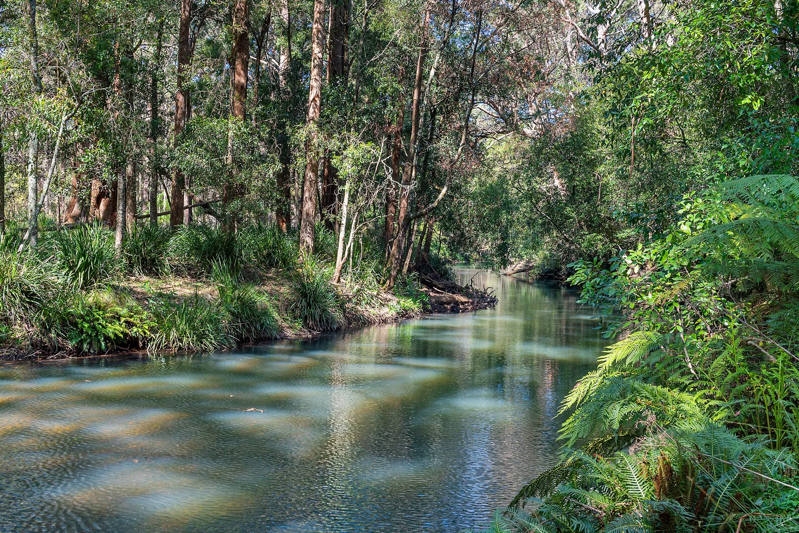 Additional image 23 of 51 & 53 Shierlaw Road, Robertson NSW 2577