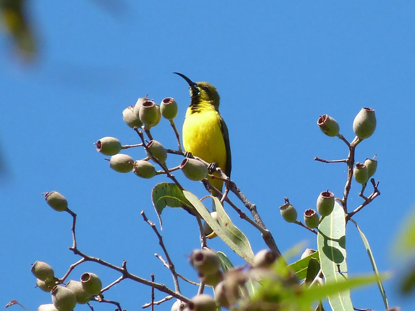 Additional image 19 of Notch Point Road, Ilbilbie QLD 4738
