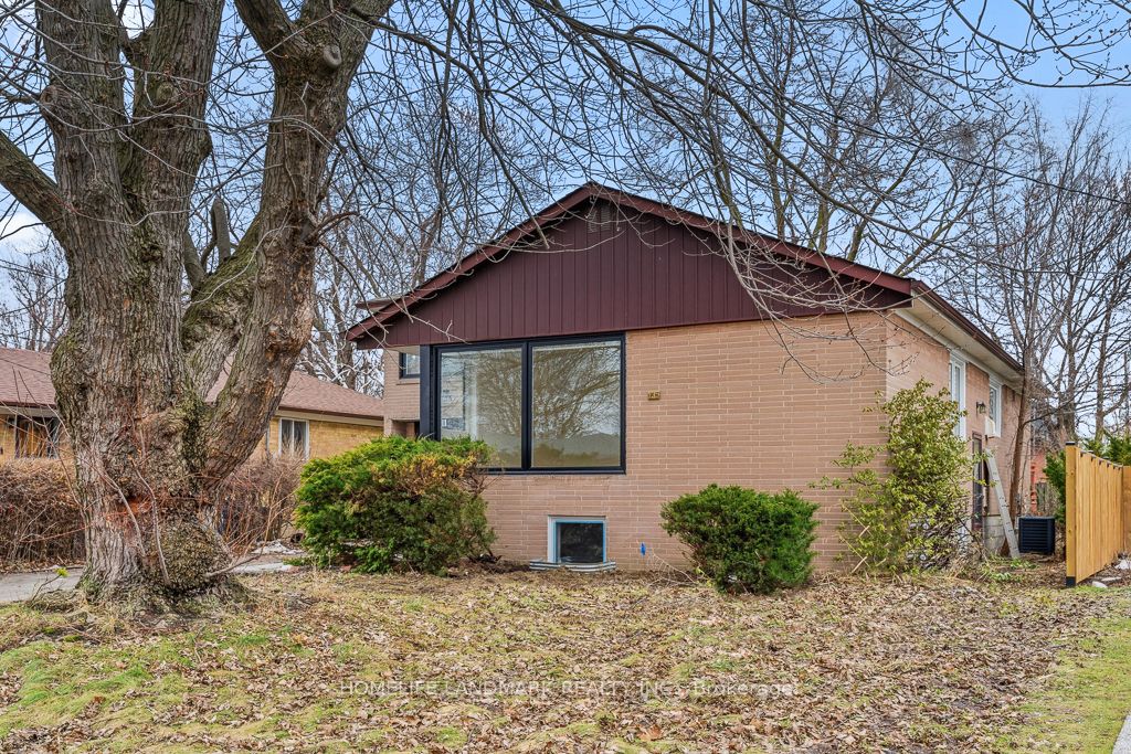 Basement-135 Waterloo Avenue, Toronto, ON, M3H 3Y7