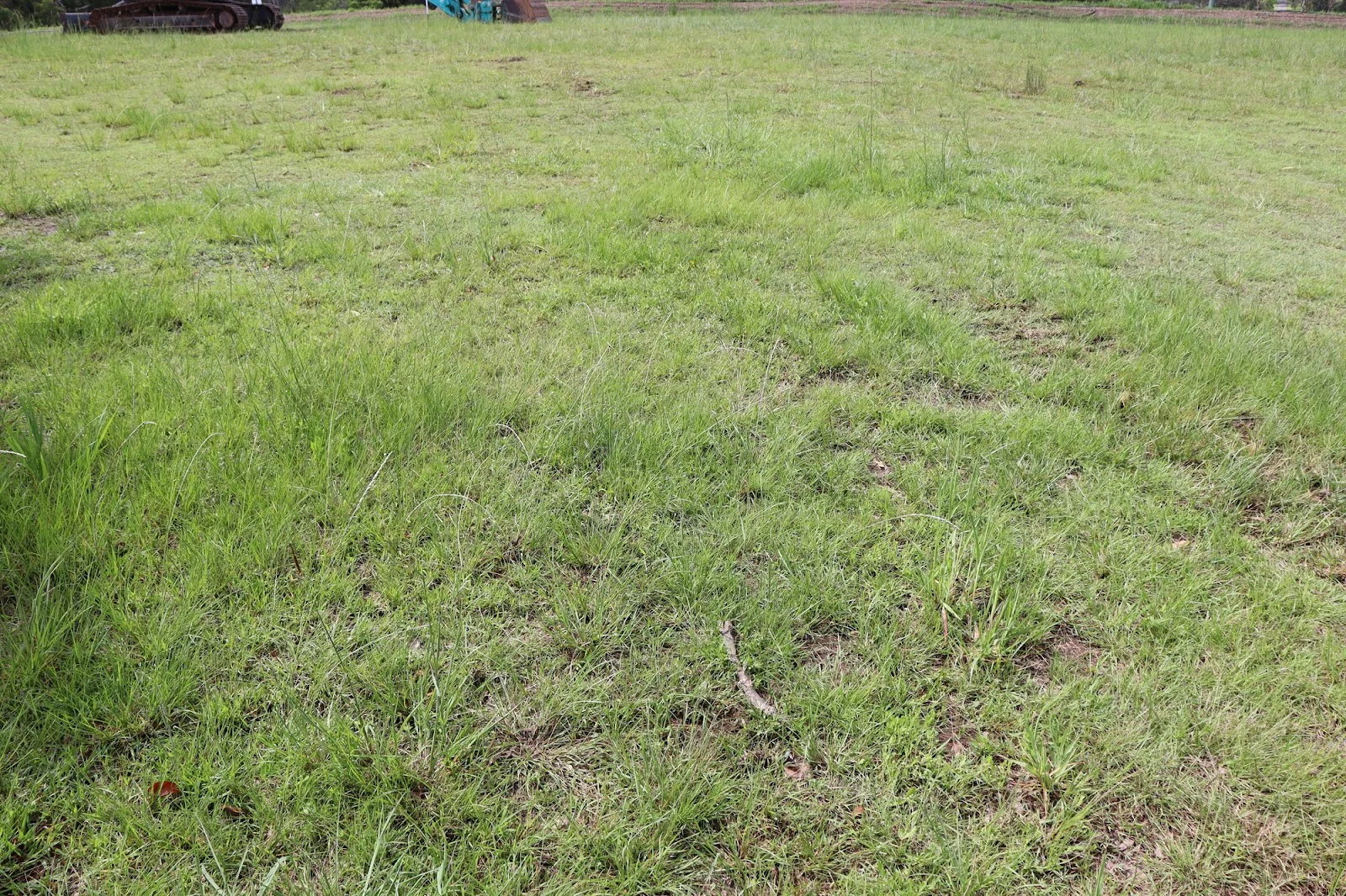 Additional image 13 of Lot 6 "Acres on Taylor", Veteran QLD 4570