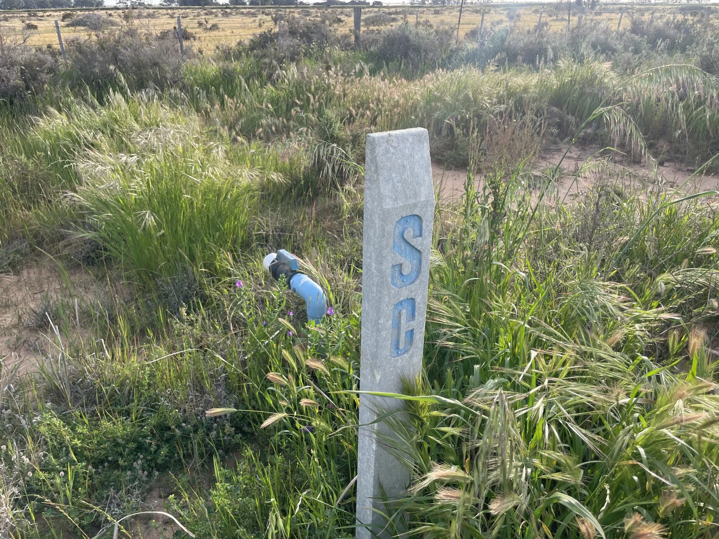 Additional image 26 of 'Yileen' 4371 Moulamein Road, Tullakool NSW 2732