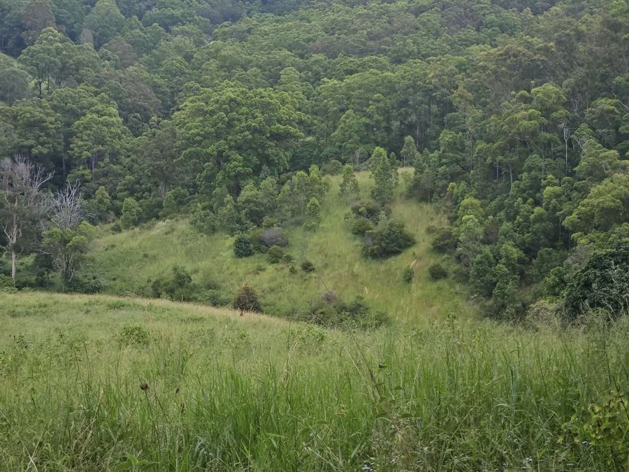 Additional image 7 of 113 Antimony Road, Neerdie QLD 4570