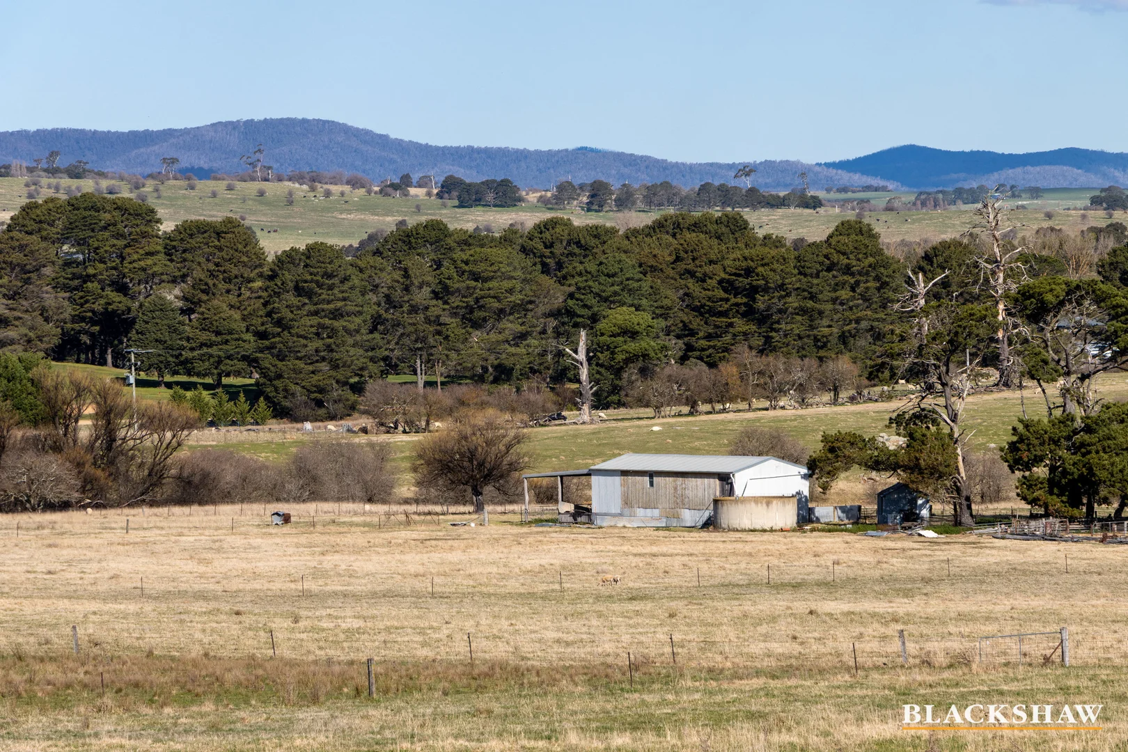 Additional image 4 of 60 Boppings Crossing Road, Braidwood NSW 2622