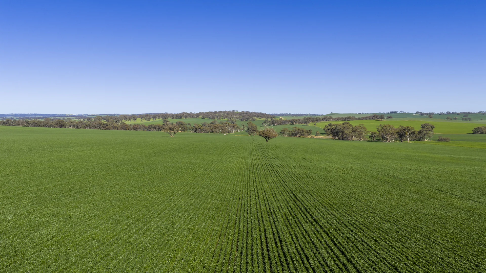 Additional image 24 of 829 Anlaby Road, Hamilton SA 5373