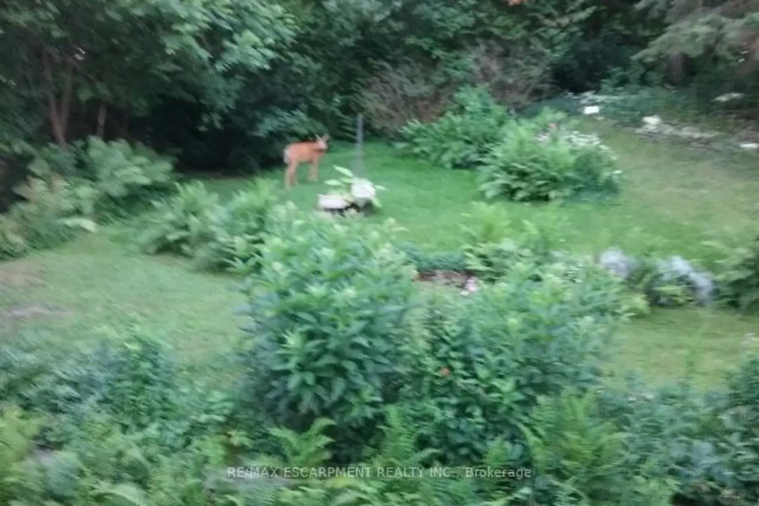 Additional image 15 of 96 Ontario Street