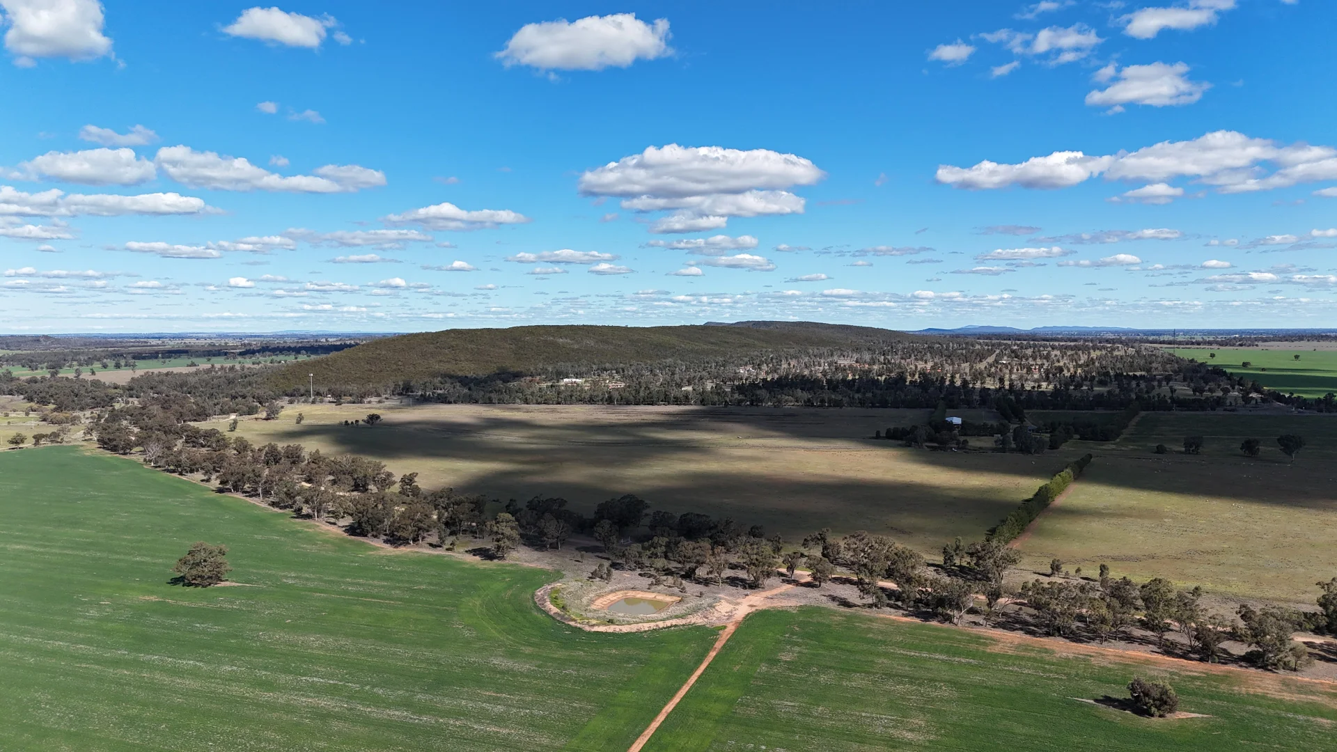 Additional image 51 of 3544 Henry Parkes Way, Bogan Gate NSW 2876