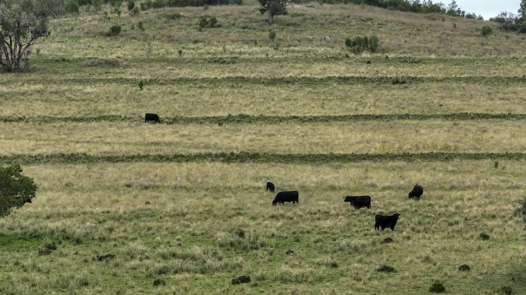 Additional image 17 of The Glen, Berrigal NSW 2390