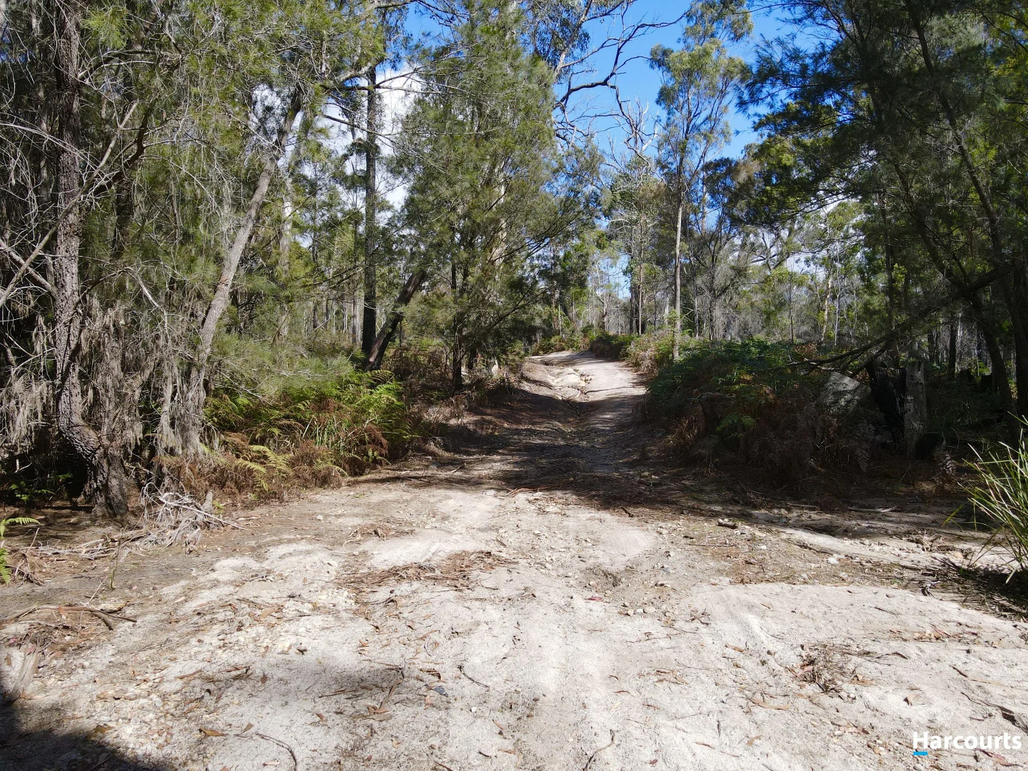 Additional image 8 of 311 Medeas Cove Road, St Helens TAS 7216