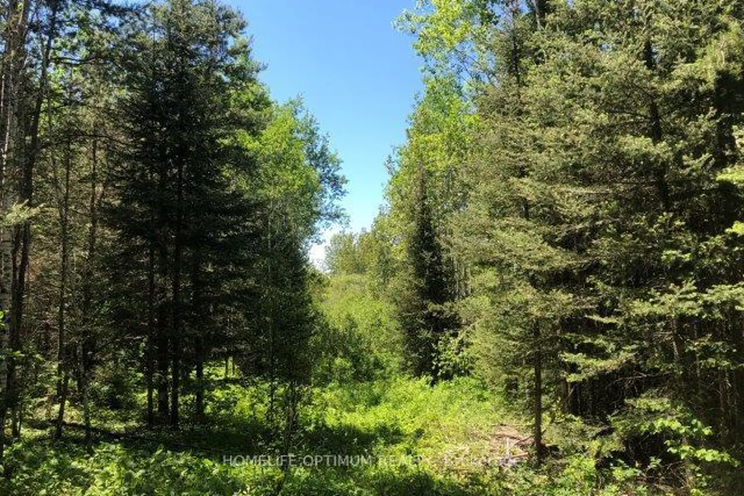 Additional image 8 of 38.24 Acres - Pcl 24640 N/A