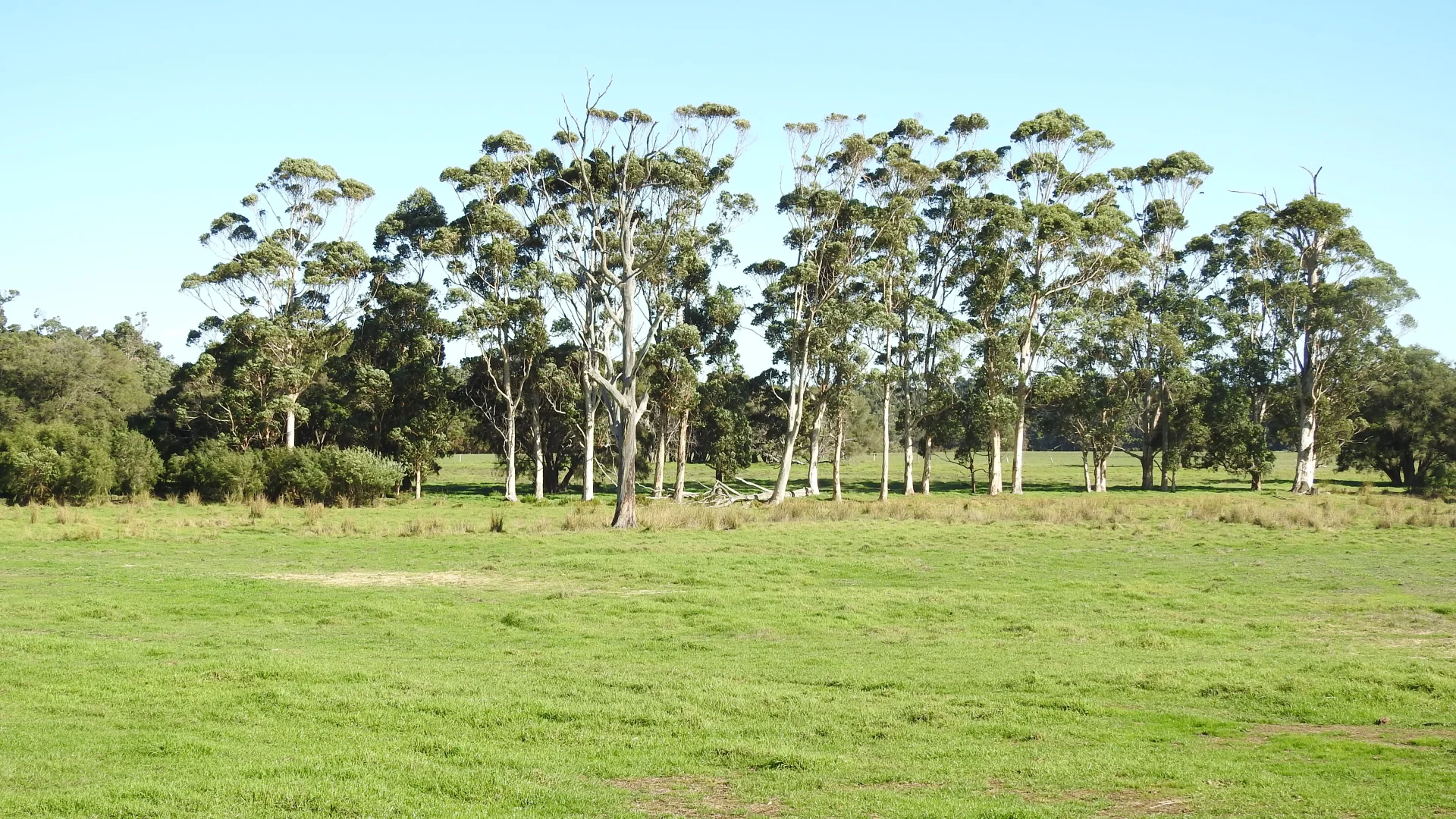 Additional image 5 of Calgardup Road, Forest Grove WA 6286