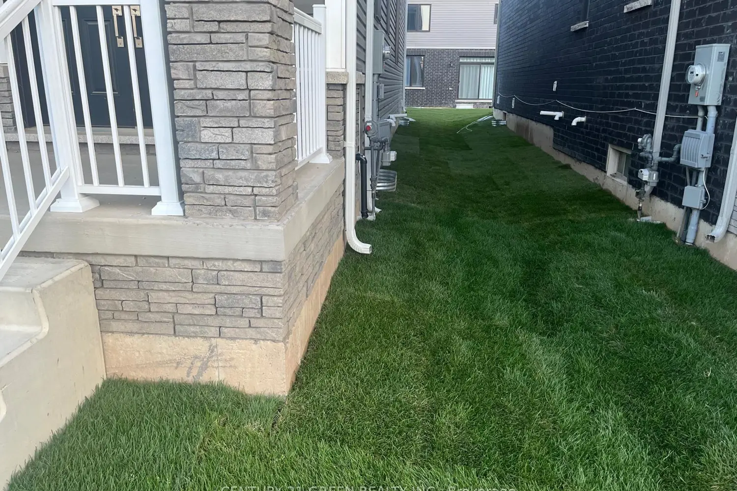 Additional image 11 of 50 Sunflower Crescent