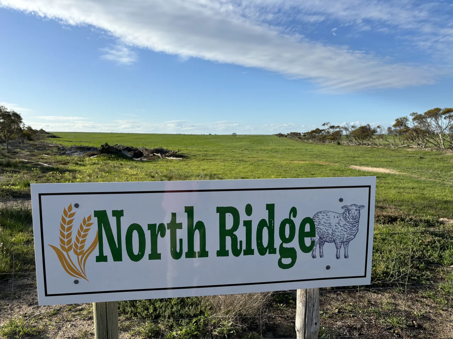 Additional image 4 of Section 82 Chilmans Road, Port Neill SA 5604