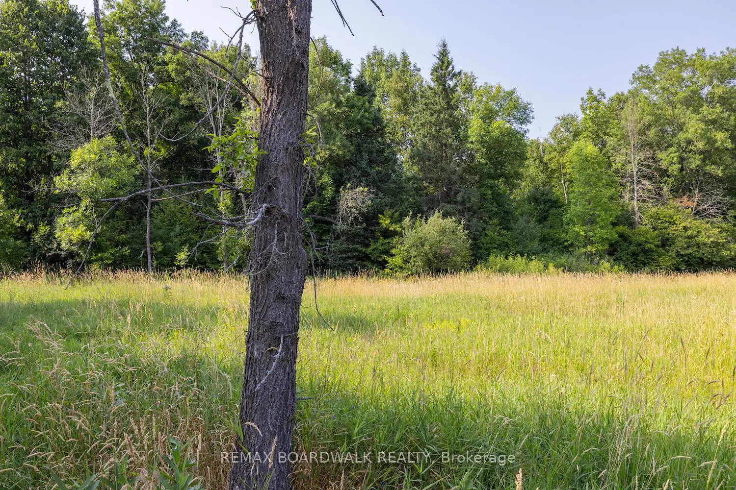 Additional image 5 of 752 Bennett Lake Road