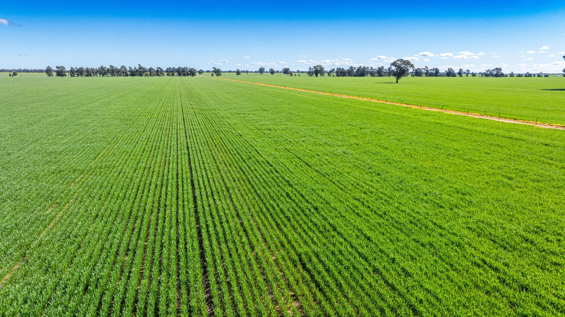 Additional image 30 of 119 Oak Lodge Rd, Sanger NSW 2646