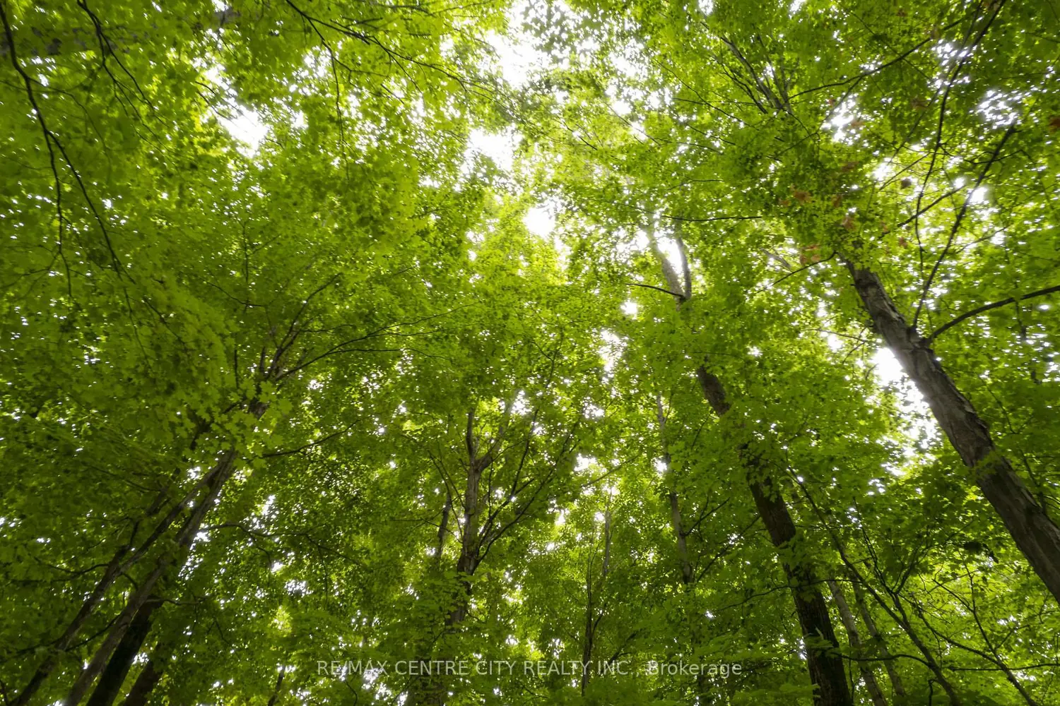 Additional image 18 of Pt Lt 6 Concession 8 Road