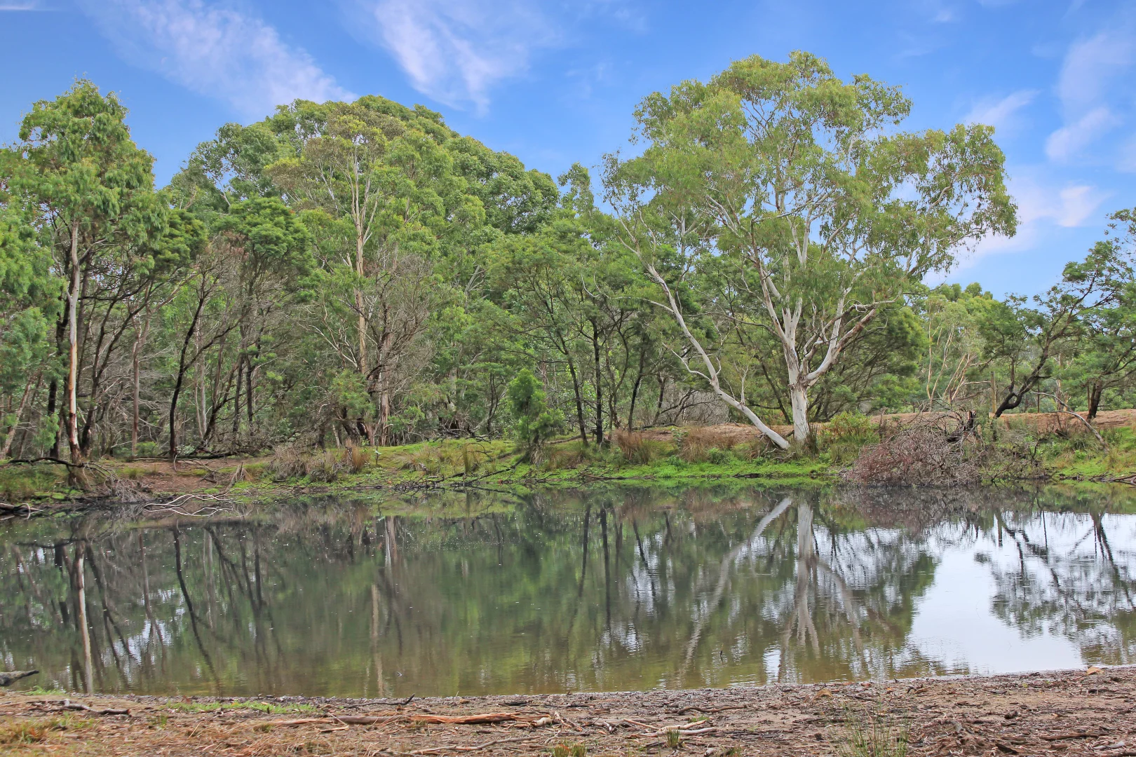 Additional image 12 of 272 Inverary Road, Paddys River NSW 2577
