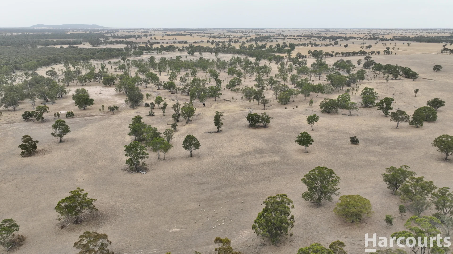 Additional image 13 of . Elliots Lane, Clear Lake VIC 3409