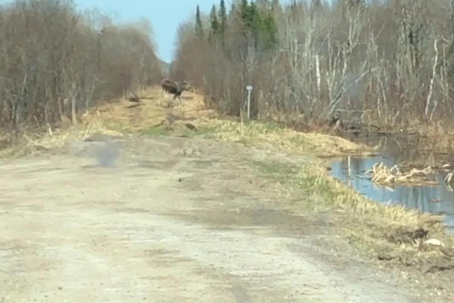 Additional image 5 of Pcl3840 N/A