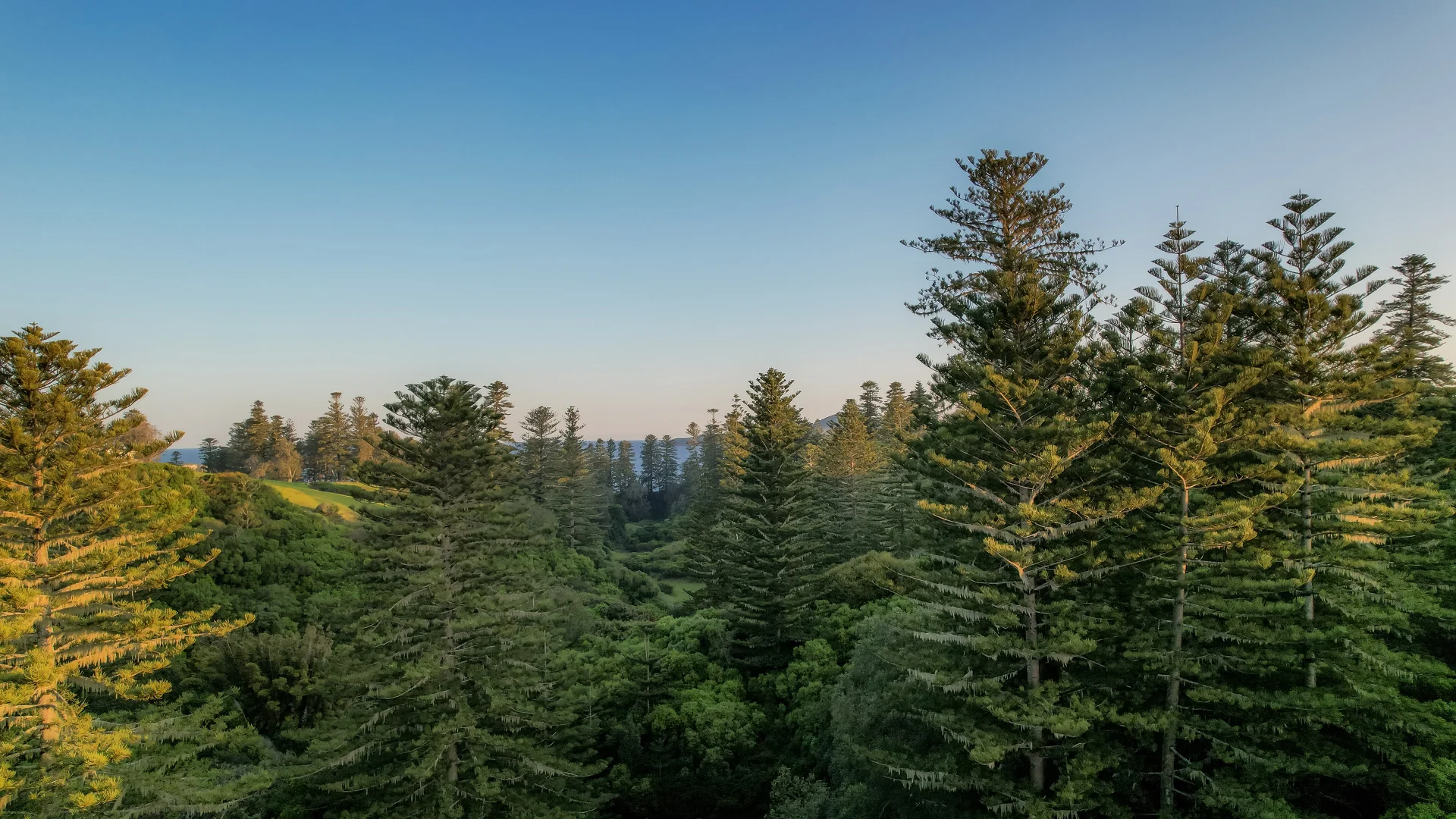 Additional image 9 of 77w6 Longridge Road, Norfolk Island NSW 2899