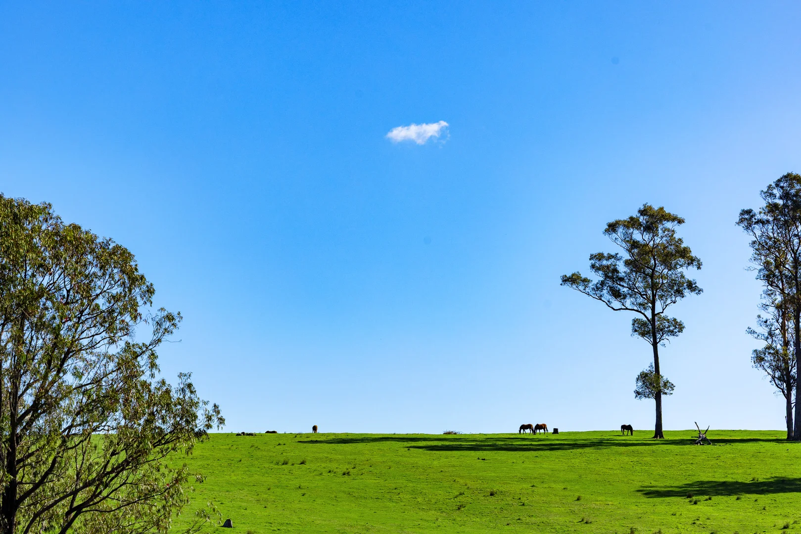 Additional image 40 of 151 Wattle Hill Road, Buchan South VIC 3885