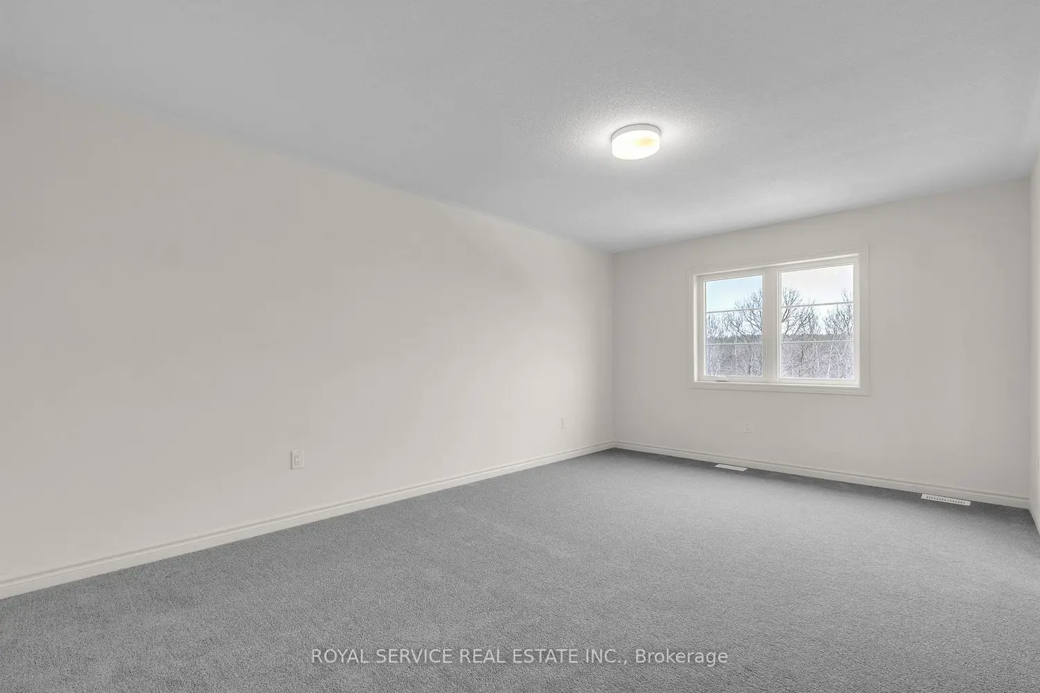 Additional image 15 of 472 Trevor Street