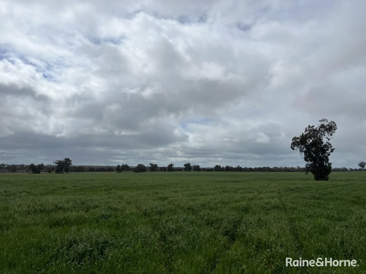 Additional image 12 of 124 Highbury East Road, Highbury WA 6313