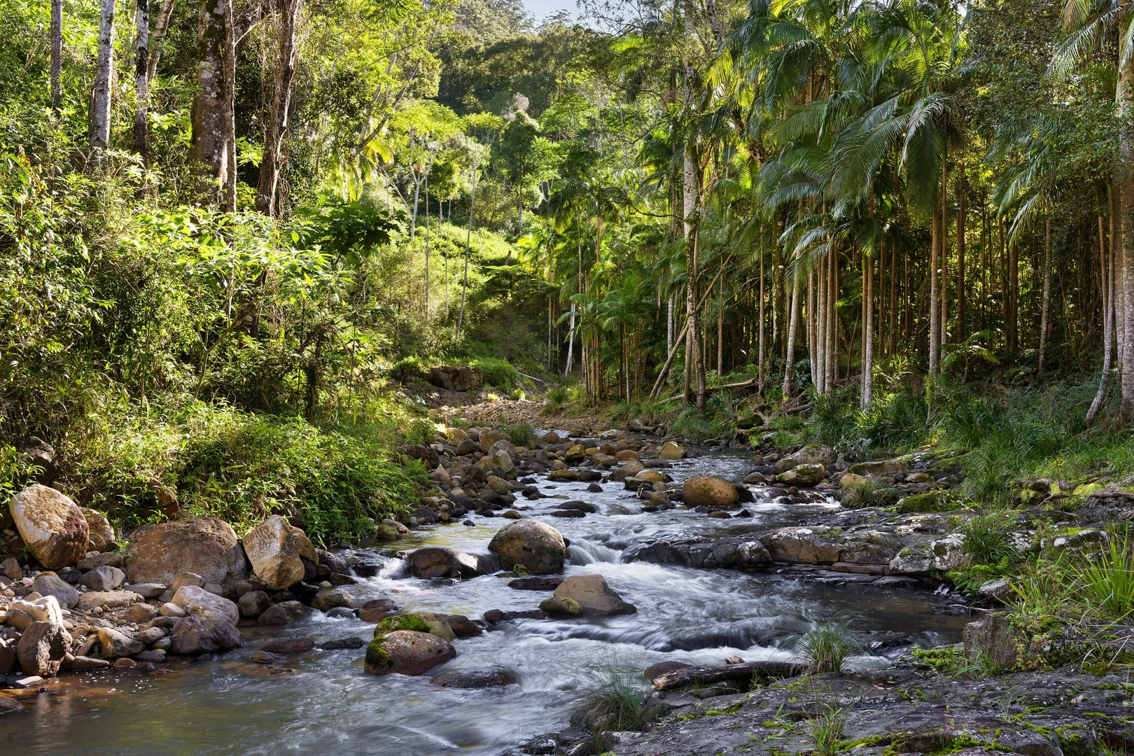 Additional image 4 of 361 Huonbrook Road, Huonbrook NSW 2482