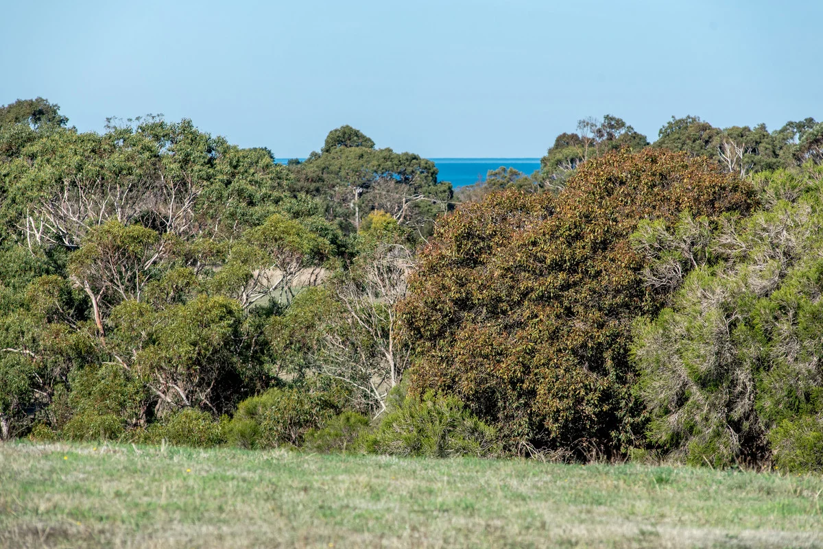 Additional image 5 of 41 Bonnie View, Bolwarra VIC 3305