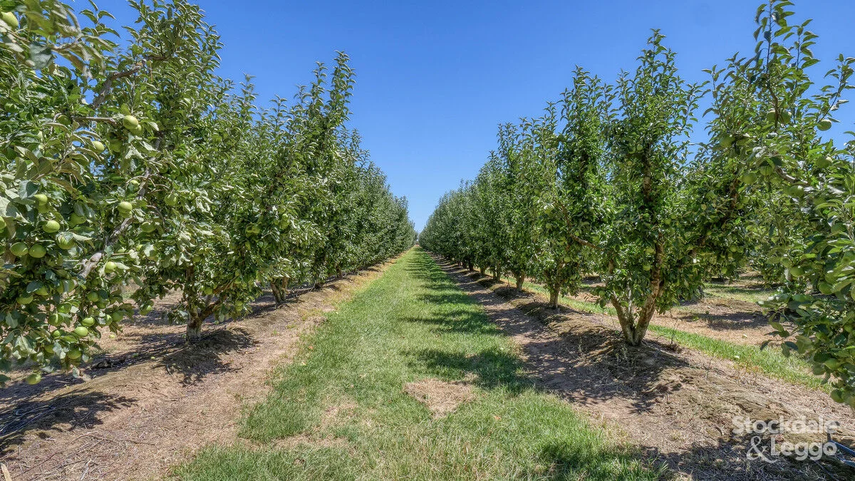 Additional image 18 of 645 New Dookie Road, Lemnos VIC 3631