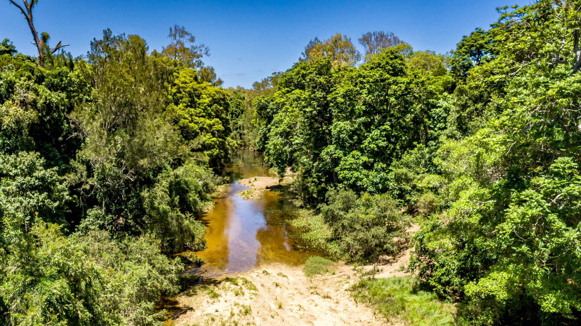 Additional image 9 of 42984 Bruce Highway, Colosseum QLD 4677
