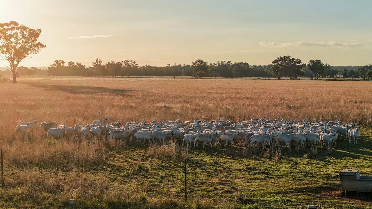 Additional image 7 of 3761 Neilrex Road, Neilrex NSW 2831