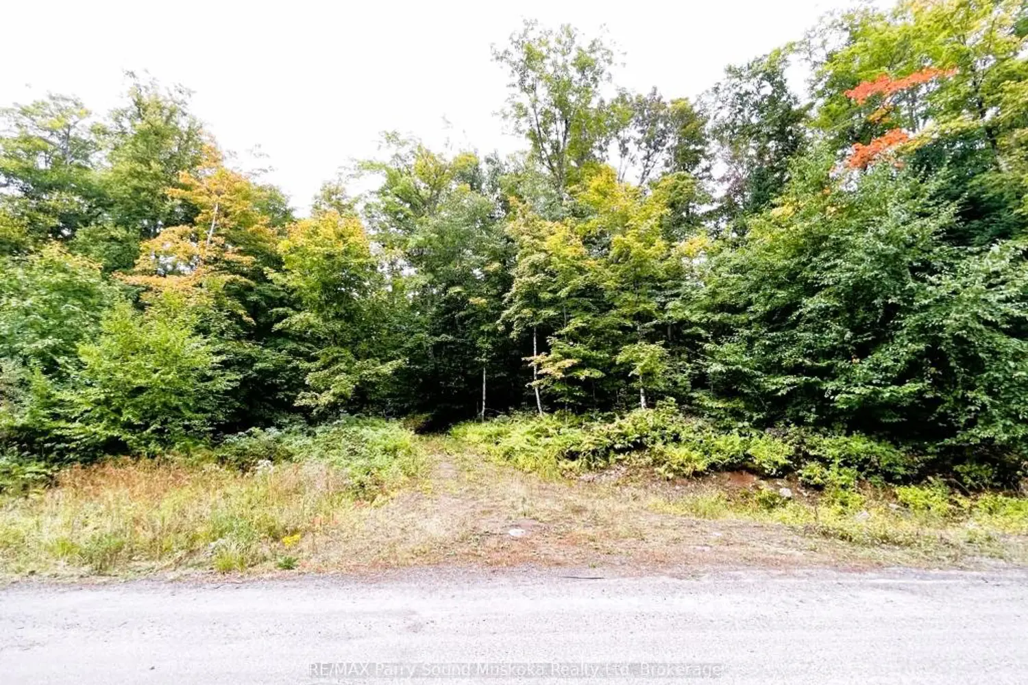 Additional image 5 of 75 Granite Drive