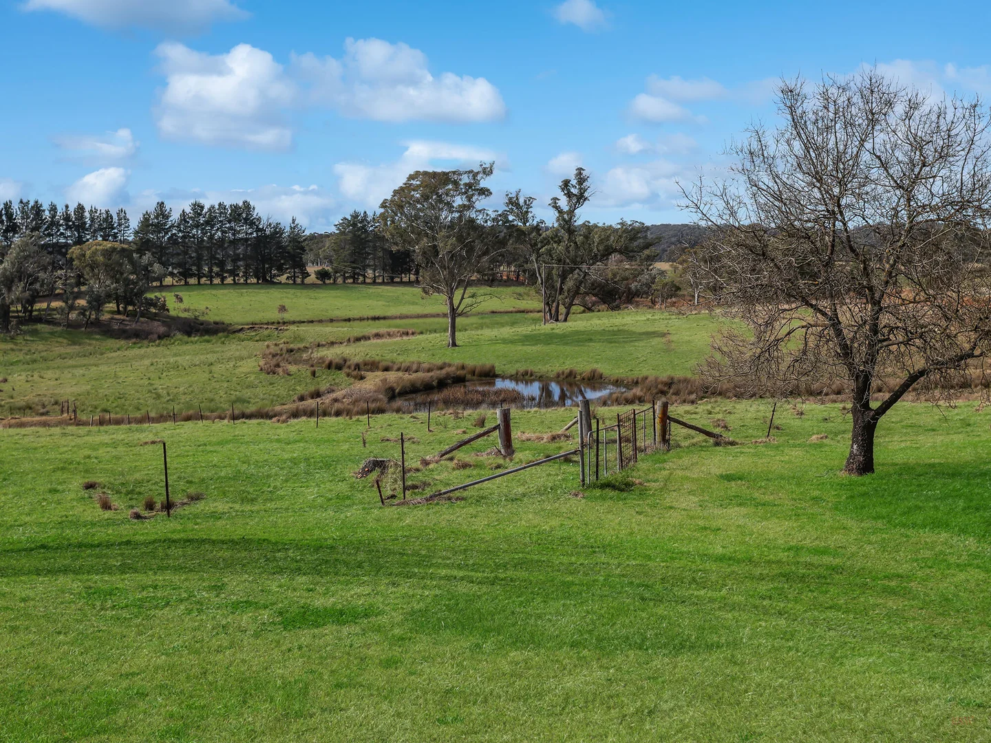 Additional image 33 of 551 Inverary Road, Paddys River NSW 2577