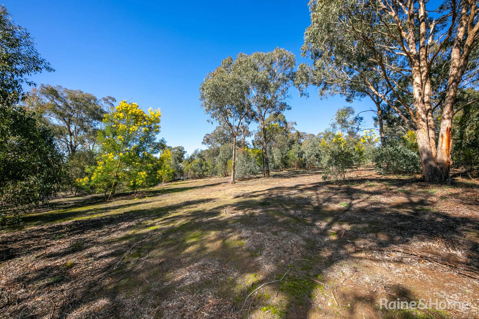 Additional image 6 of 24 Emu Road, Sunbury VIC 3429
