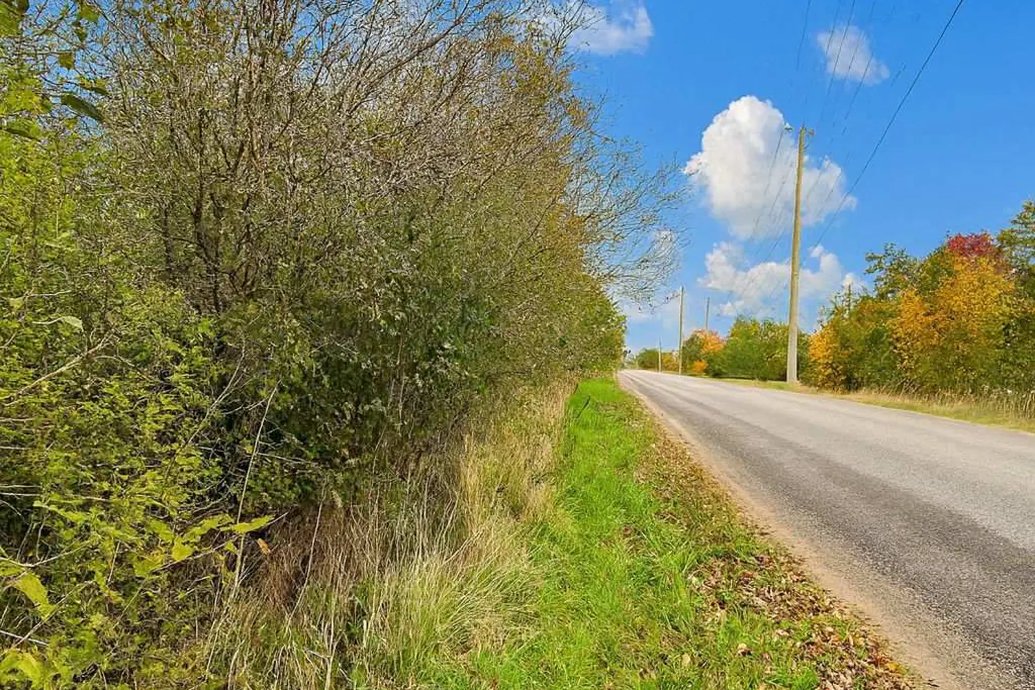 Additional image 9 of Lot 15 Martin Drive