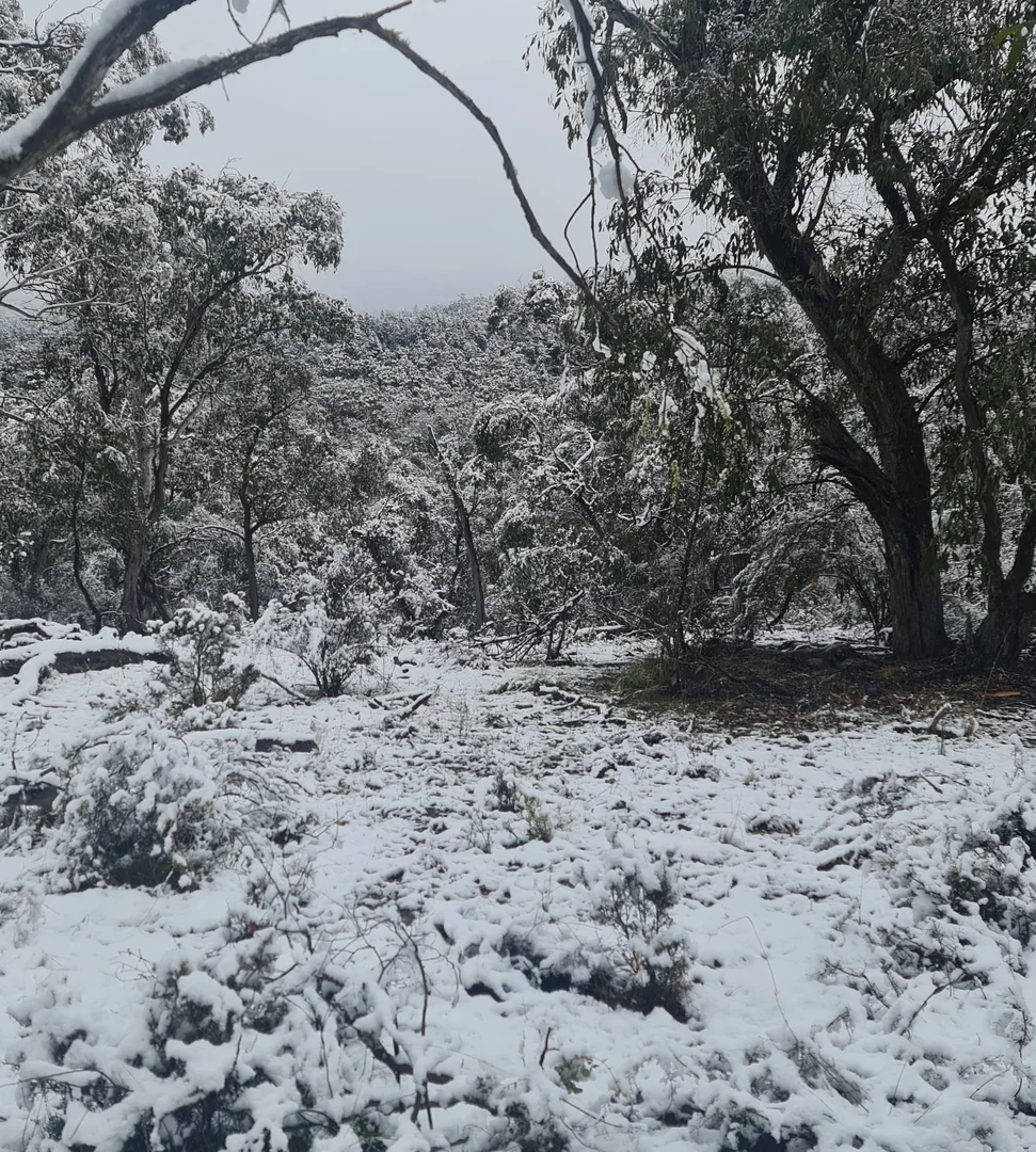 Additional image 23 of Lot 34 Palarang Road, Merriangaah NSW 2632