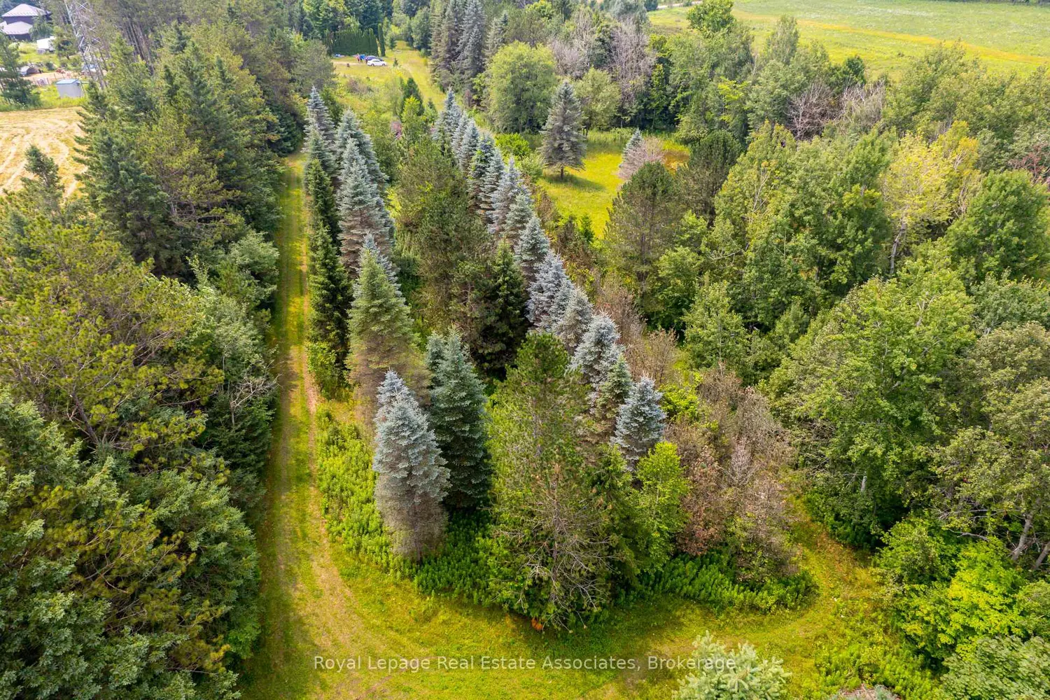 Additional image 12 of Pt 25 Fourth Line