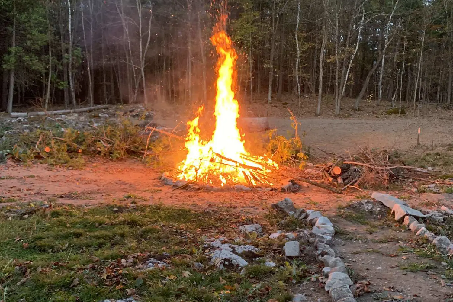 Additional image 4 of 278 Forest Park Drive
