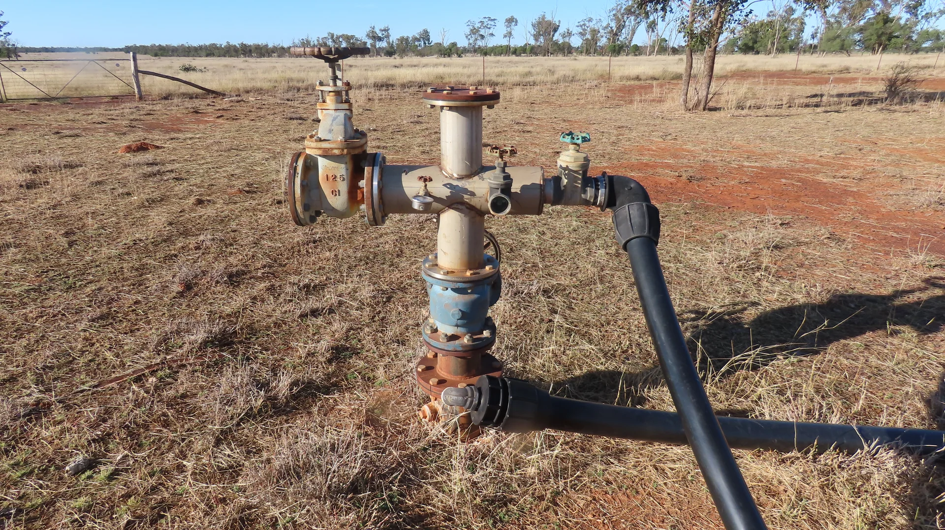 Additional image 9 of Mirreyah Feedlot Talwood Mungindi Road,, Talwood QLD 4496