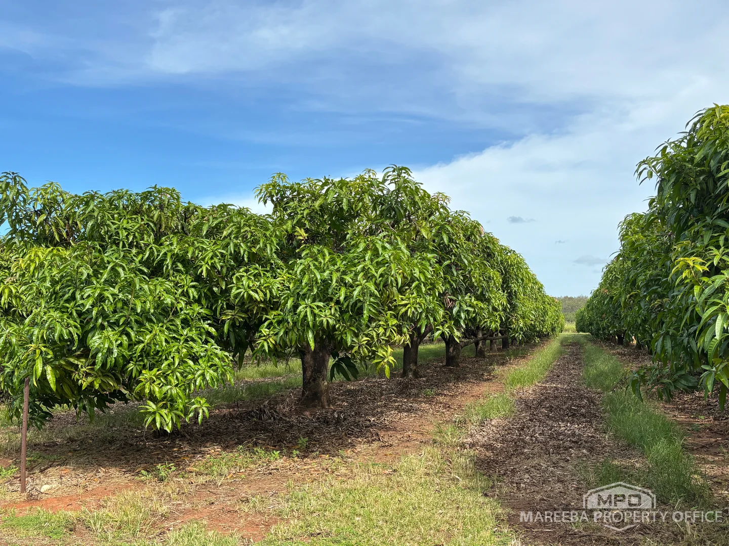 Additional image 3 of 446 Chewko Road, Mareeba QLD 4880