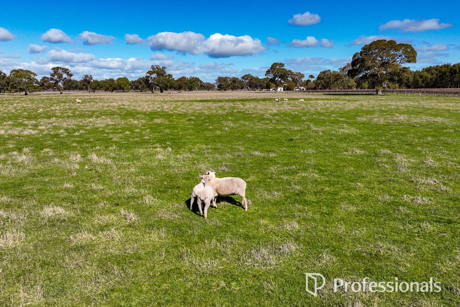 Additional image 4 of Lot 444/101 Gaffney Road, Coonawarra SA 5263