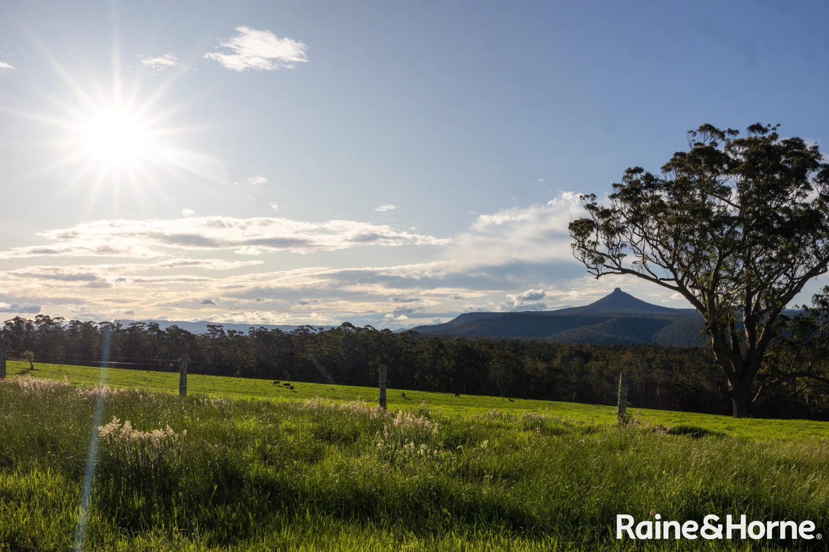 Additional image 14 of Lots 1-4, 265-266 Mimosa Park Road (via Milton), Morton NSW 2538