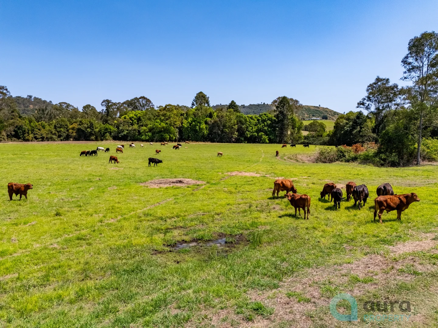 Additional image 15 of 18 Calico Creek Road, Long Flat QLD 4570