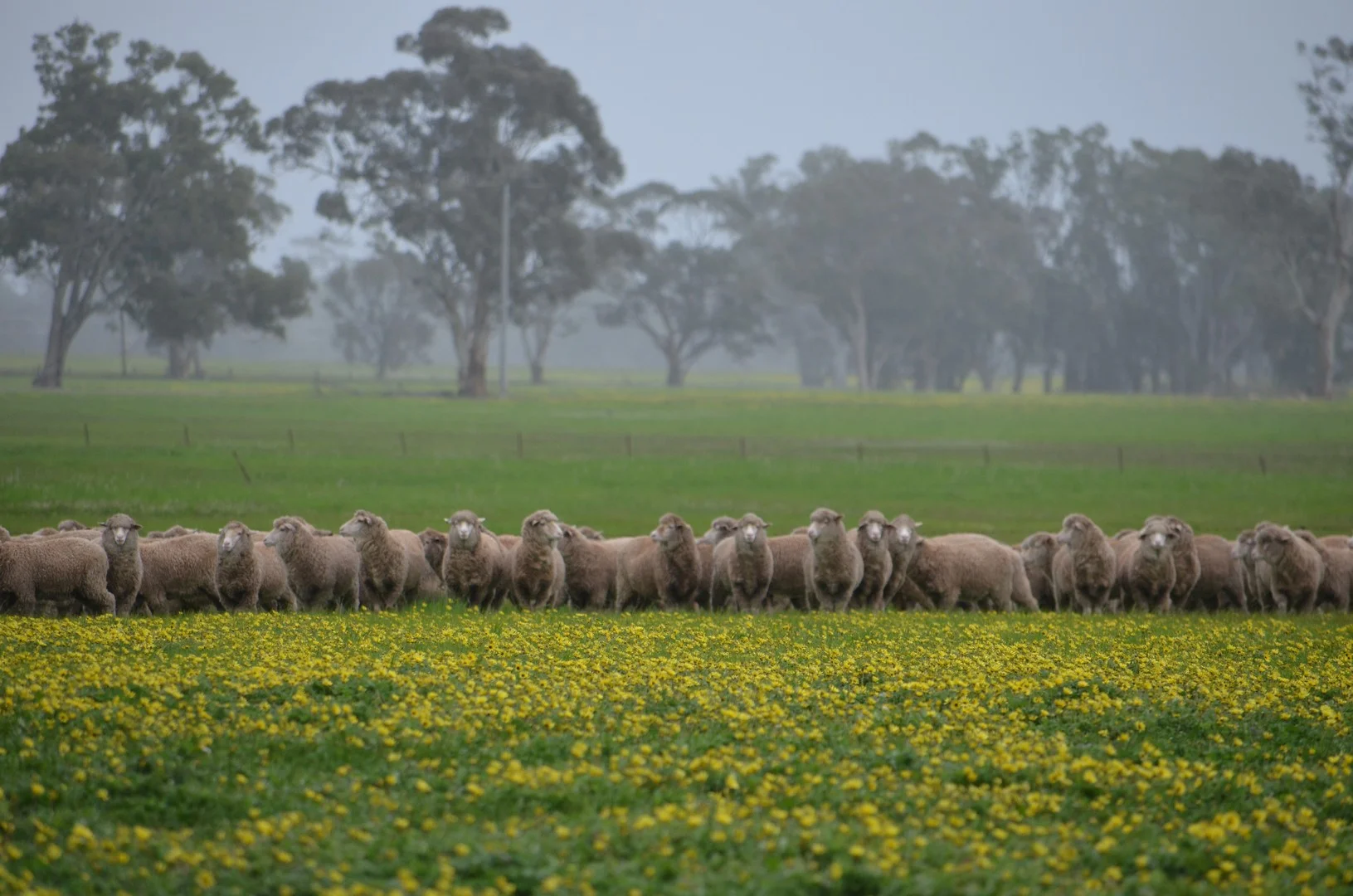 260 Burns Munn Road, Edenhope VIC 3318